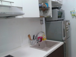 Palm Loft (D15), Apartment #162304982